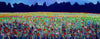 “Deirdre’s Poppy Dream” by Charles Nkomo