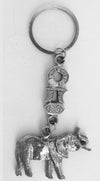 EA Key Ring