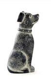 Happy Dog of Kisii