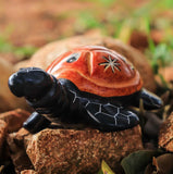 Sea Tortoise of Kisii