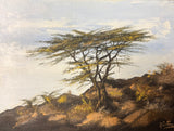 “Acacia Breezes” by Bettina Roedling