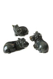 Hippo Pod Series of Assorted Stone