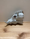 AM Beaded Animal Bust