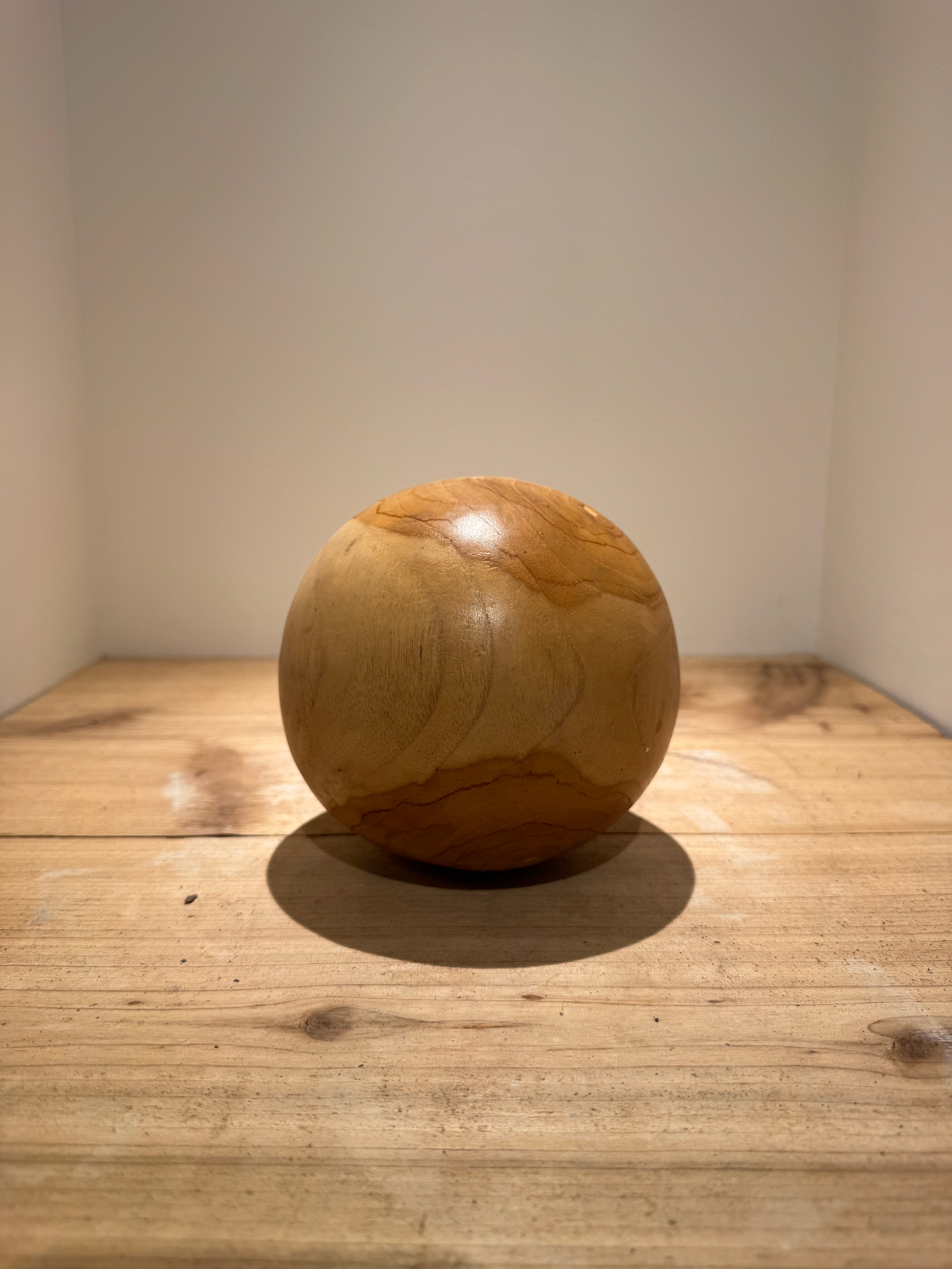 Teak Root Ball