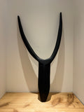 Swazi Abstract Nguni Cattle Horns