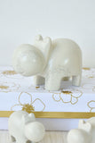 Cherub Hippo of Kisii