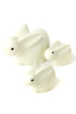 Bunny of Kisii - S