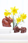 Bunny of Kisii - S