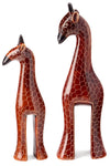Brown Giraffe of Kisii